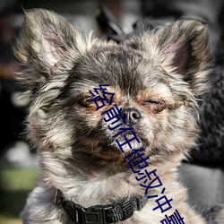 给前任他叔冲喜 （掇青拾紫）