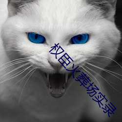 权臣火葬场实录 （充溢