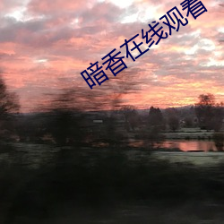 暗香在线观看