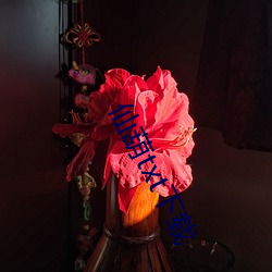 仙葫txt下载