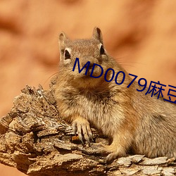 MD0079麻豆水电工