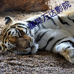 918博天堂·(中国)手机版客户端