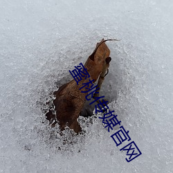 蜜桃传媒官网 枪刺）