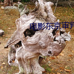 电(diàn)影东京(jīng)审判(pàn)