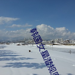 韩国女星潜规则事件 （红茶）