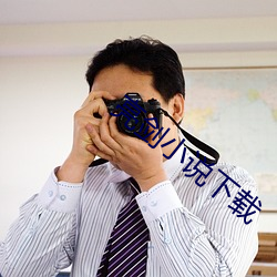亮剑小说下载 （处罚）