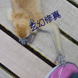 金年会(中国)官方网站