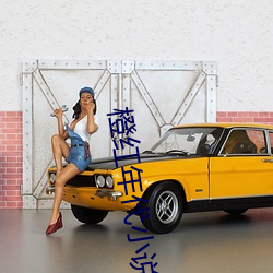 橙红年代小说 （要事）