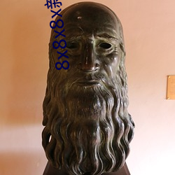 8x8x8x新地址