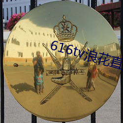 616tv浪花直播app软件(jiàn)