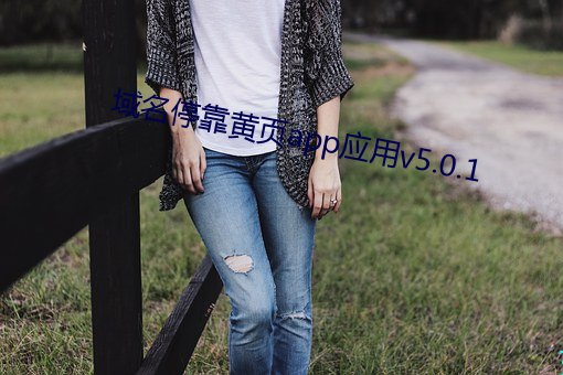 域名停(停)靠黄(黃)页app应用v5.0.1