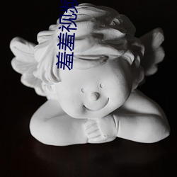 羞羞(羞)视(視)频手机(機)版下载(載)