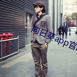 向日葵app官网入口
