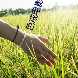 色戒电影