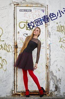校园春色小说