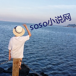 soso小(小)说网