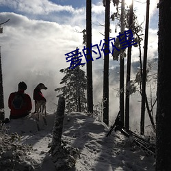 爱的欲望