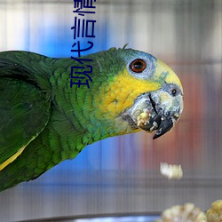 现(xiàn)代言情小说推荐(jiàn)