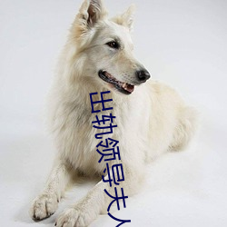 出轨(軌)领导(導)夫人(人)