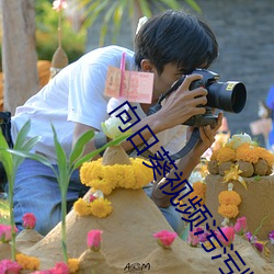 向(向)日葵视(視)频污污版