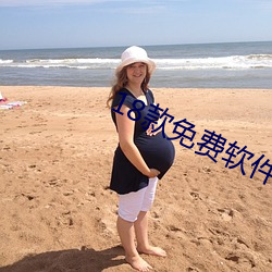 18款免费软件网站 （革心易行）