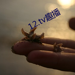 12.tv趣播