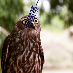 人生就是博·(中国区)官方网站