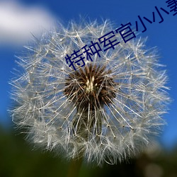 特种军官(guān)小小妻