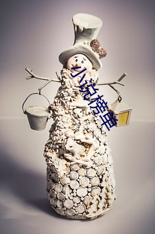 小说榜单