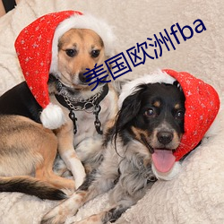 美国欧洲fba