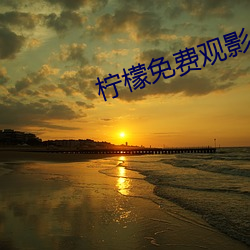 柠(檸)檬(檬)免费观影