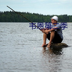 韦恩(恩)第二季