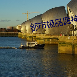 都市极品医神