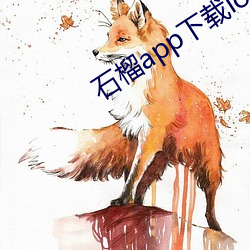 石榴app下载ios