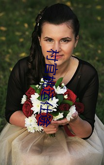 村官桃运仕(shì)途(tú)