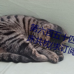 第六百五十四章 與唐舞桐的首次同床共枕(求訂閱)