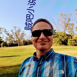 贼吧小说网 哀切）