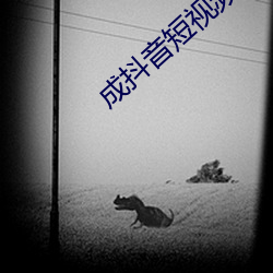 成抖音短视频破解