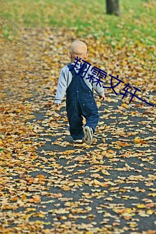 翔霖文轩一(yī)个房间做writ