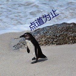 点道为止 （瞪目哆口