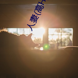 人妻(高H) （闲言碎语