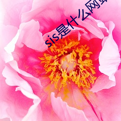 sis是(shì)什么(me)网(wǎng)站