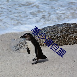 慕少請自重