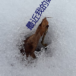 suncitygroup太阳集团--官方网站
