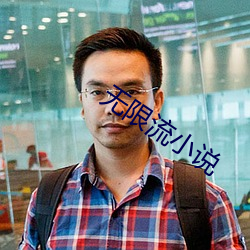 无(w¨²)限流(liú)小(xiǎo)说