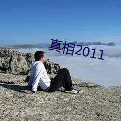 真相2011