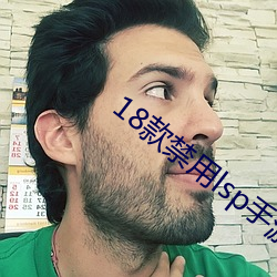 18款禁用lsp手游游戏