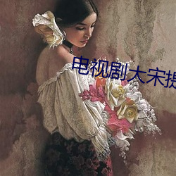 电视剧(jù)大(dà)宋提刑官