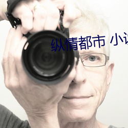 纵情都市 小说