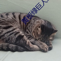 黄板绿巨人二雾霾